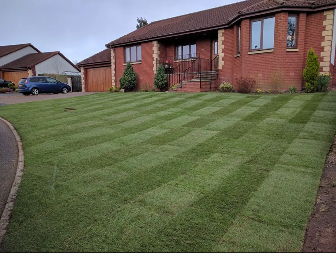 Recent lawns & artificial grass project in Guildford, Surrey